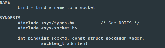 bind syscall